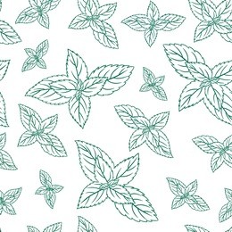 mint leaves, peppermint isolated on white background, hand drawn vector seamless patterns, spicy herbs, kitchen texture, doodle cooking ingredient for design package tea, wallpaper, cosmetics, textile