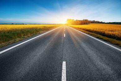 empty asphalt road and floral field of yellow flowers. travel concept