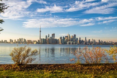 toronto skyline with autumn vegetation - toronto, ontario, canada