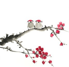 chinese painting of flowers, plum blossom and bird, on white background.