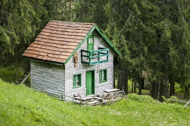 wooden house in the woods