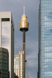 sydney tower rises amongst skyscrapers in central business district