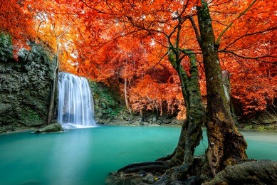 beautiful colorful waterfall in autumn forest  
