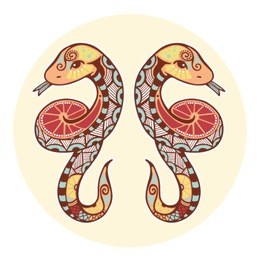 zodiac signs - gemini (colored)