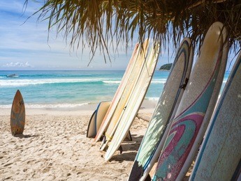 surfboards on bank under boris lisyami palms. tropical island. sand, sea, palm trees. doskai surfboard in sand