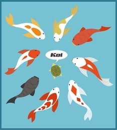 carp pond vector illustration flat design