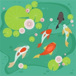 carp pond vector illustration flat design