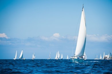 sailboats in the sea