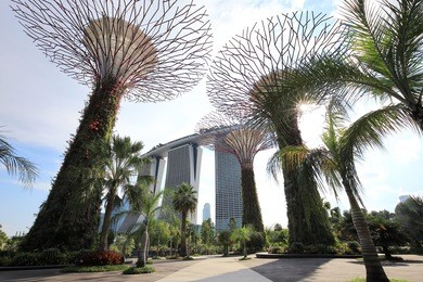 gardens by the bay and sands singapore