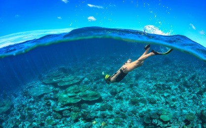 underwater image of a young lady snorkeling and diving in a tropical sea