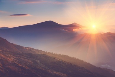 beautiful landscape in the mountains at sunrise. view of foggy hills covered by forest. filtered image:cross processed retro effect. 