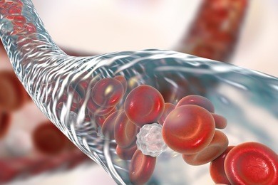 blood vessel with flowing blood cells, 3d illustration