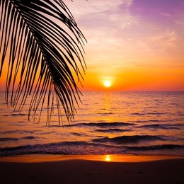 sunset landscape. beach sunset.  sunset on the beach.