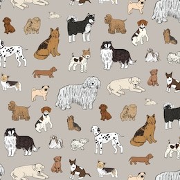 dog animal pattern