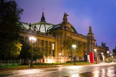 the grand palais des champs-elysees in paris, france at night