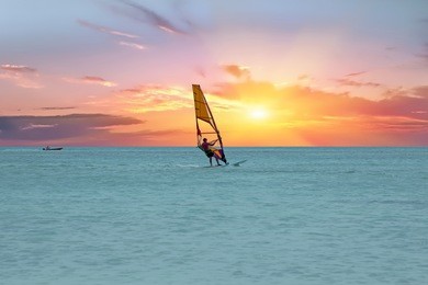 windsurfer at aruba island on the caribbean sea at a beautiful sunset