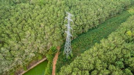 aerial view of high voltage post or high voltage tower in forest