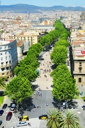 aerial view of la rambla of barcelona, spain