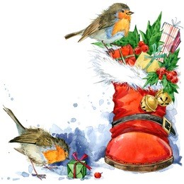 christmas card. watercolor bird illustration. winter holiday background.