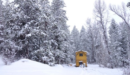 cold snowy woods around a tiny house.