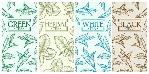 organic green white black herbal tea shop cup leaf, bean vector hand drawn template packaging cosmetic, label, banner, poster, identity, branding. stylish design with sketch illustration of tea sketch