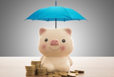 deposit protection and insurance deposit concept, pink piggy bank is protected by a blue umbrella.