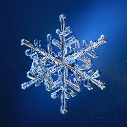 natural snowflake photo isolated on a background