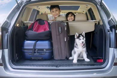 two cheerful children smiling inside a car with husky dog and luggage for traveling
