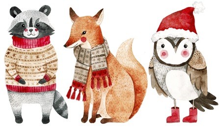 christmas watercolor animals set: fox, raccoon and bird like owl. cute kids illustration,perfect for greeting or post cards, prints on t-shirts, phone cases,book and other. hand drawn  baby animals.