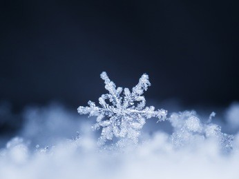 natural snowflakes on snow, photo real snowflakes during a snowfall, under natural conditions at low temperature