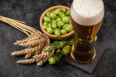 beer glass on dark background