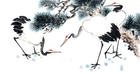 crane and pine(long life) ,traditional chinese painting.