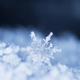 natural snowflakes on snow, photo real snowflakes during a snowfall, under natural conditions at low temperature
