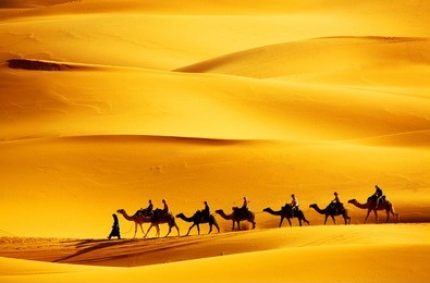 desert caravan