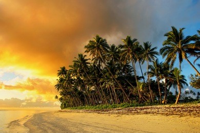 colorful sunrise  on the beach in lavena village on taveuni island, fiji. taveuni is the third largest island in fiji.