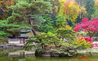 buyeongji pond at the huwon park, secret garden, changdeokgung palace, seoul
