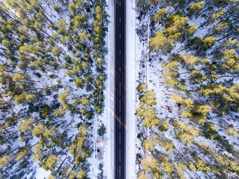 aerial black single road with forest in winter