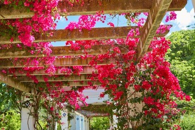 seville maria luisa park gardens in andalucia spain exterior image from public park ground