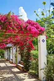 seville maria luisa park gardens in andalucia spain exterior image from public park ground