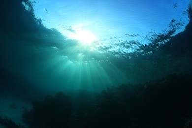 water surface and coral reef with sunlight underwater in the ocean