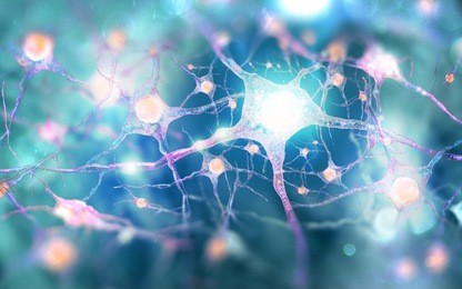 neural network human nervous system (3d illustration)