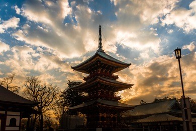 the autumn leaves are beautiful in narita japan with sunset .