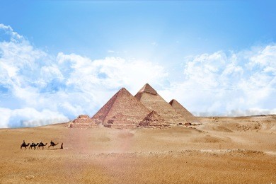 pyramids egypt giza all,  with camels