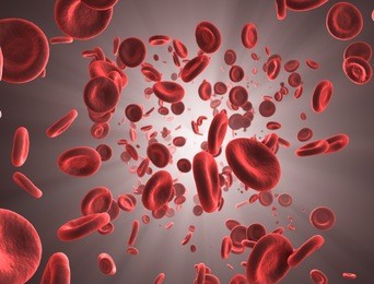 red blood cells