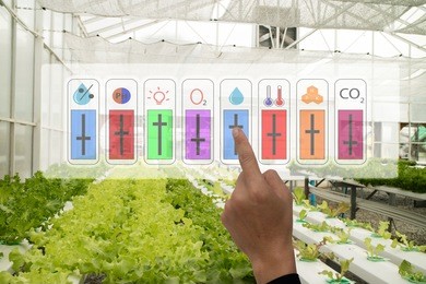 internet of things industrial agriculture,smart farming concept,farmer point hand to use augmented reality technology to control monitor and controlling condition of vegetable in the greenhouse farm