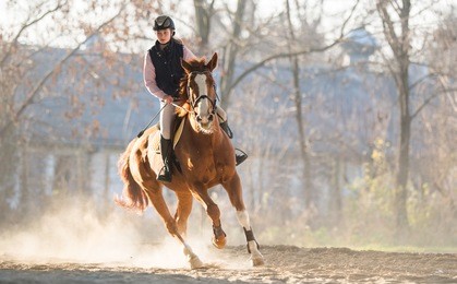 young pretty girl riding a horse
