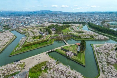 cherry blossom at goryokaku park, hakodate,japan
