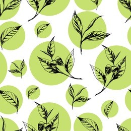 vector seamless pattern with tea leaves in green circle on white hand drawn botanical illustration in vintage style for print, fabric, wrapping, web page and other seamless design.