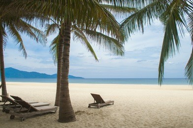 sunbeds, with sand, blue sea and palms in the my khe beach, danang, vietnam