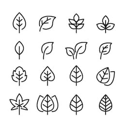 leaf line icon set